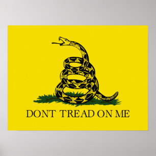 Affiche Ne pas taper sur le drapeau de Me Gadsden