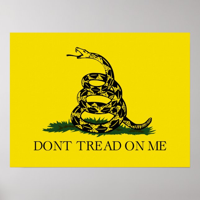 Affiche Ne pas taper sur le drapeau de Me Gadsden (Devant)