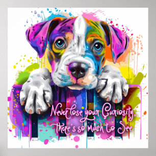 Affiche Ne perdez jamais votre curiosité, il y a tellement