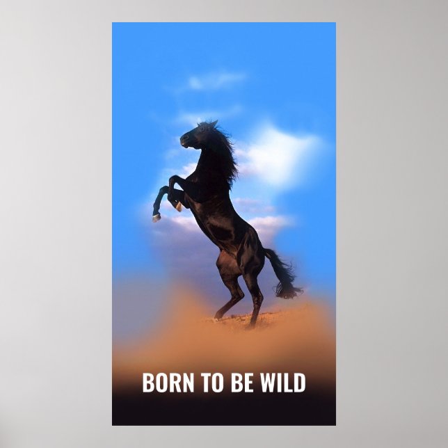 Affiche Né Pour Être Sauvage Coureur Cheval Citation Inspi (Devant)