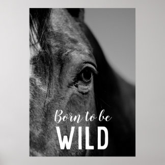 Affiche Né pour être sauvage Noir & Blanc Gros plan Cheval