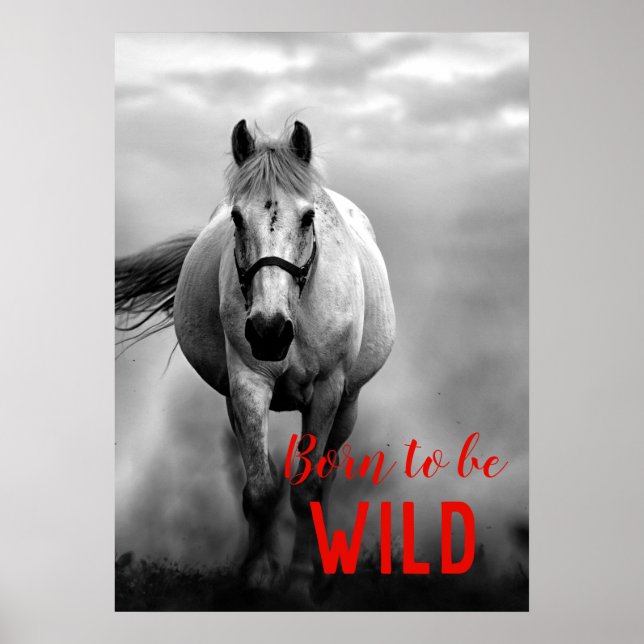 Affiche Né pour être Wild Black & White Running Horse (Devant)