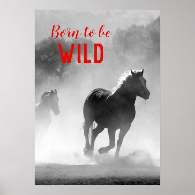Affiche Né pour être Wild Black & White Running Horses (Devant)