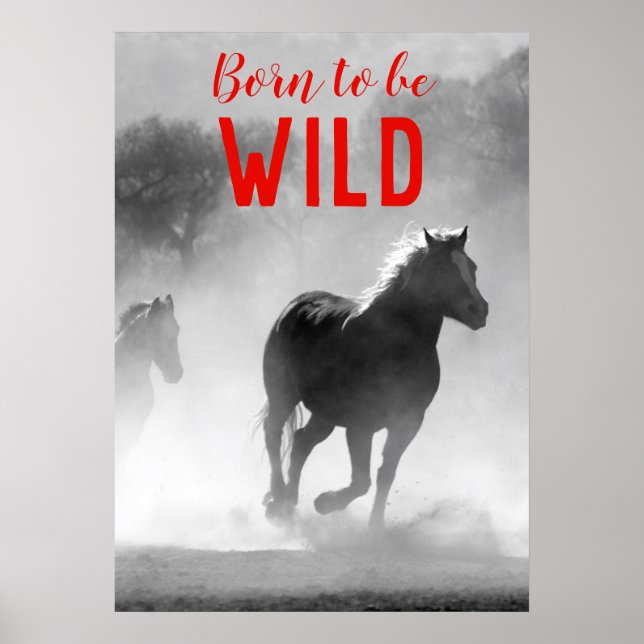 Affiche Né pour être Wild Black & White Running Horses (Devant)