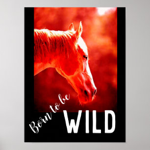 Affiche Né pour être Wild Gros plan Cheval