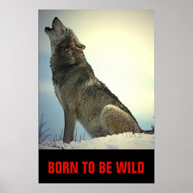 Affiche Né Pour Être Wild Motivational Wolf Howling Moon (Devant)
