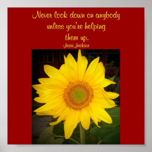 Affiche Ne regardez jamais en bas...Citer Poster-Jesse Jac