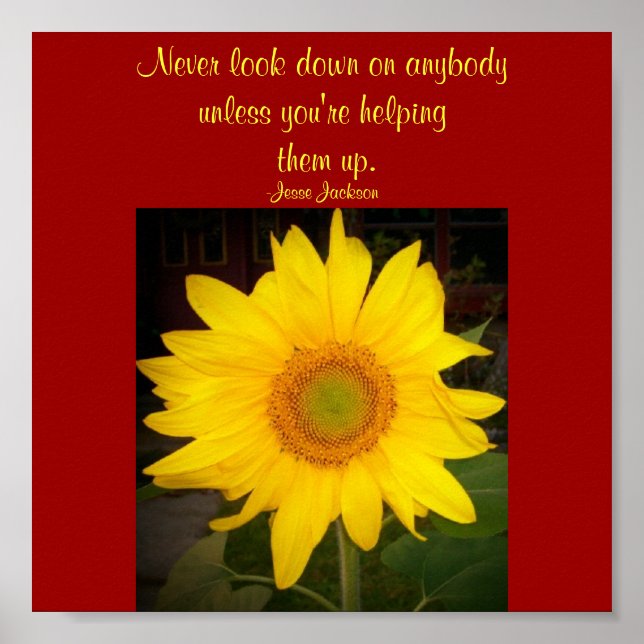 Affiche Ne regardez jamais en bas...Citer Poster-Jesse Jac (Devant)