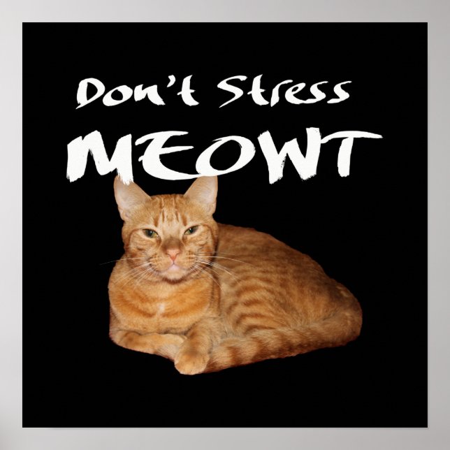 Affiche Ne stress pas Meowt - Orange Chat me stress Out (Devant)