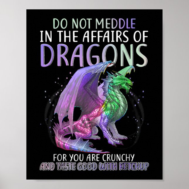 Affiche Ne Vous Immiscez Pas Dans Les Affaires Des Dragons (Devant)