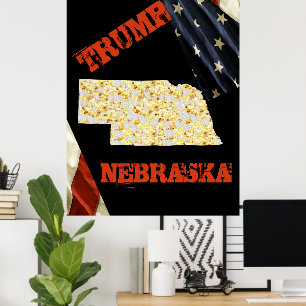 AFFICHE NEBRASKA 