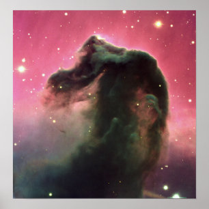 Affiche Nebula à tête de cheval