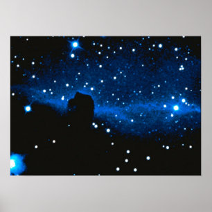 Affiche Nebula à tête de cheval