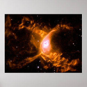 Affiche Nebula, araignée géante Cadeau aux amateurs d'ar