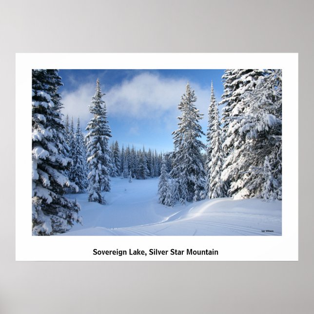 Affiche Neige (Devant)