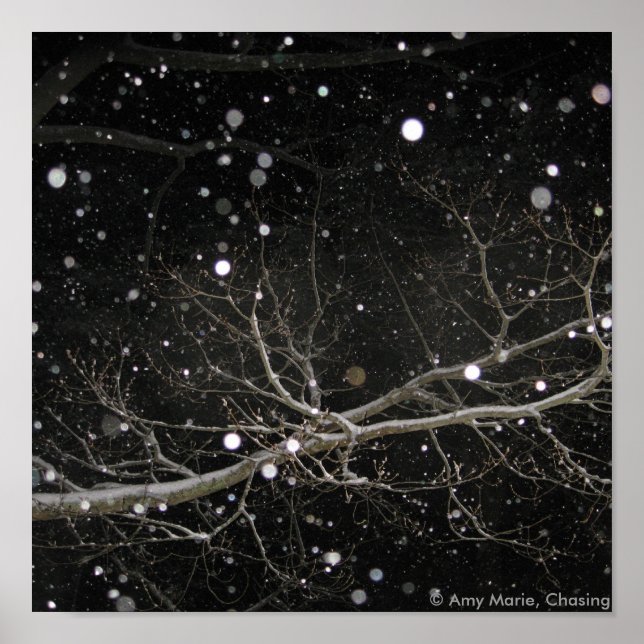 Affiche Neige dans la nuit (Devant)