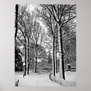 Affiche Neige de Central Park 2010 - CIMG6447-a