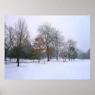 Affiche Neige d'hiver, Bute Park, Cardiff, Pays de Galles