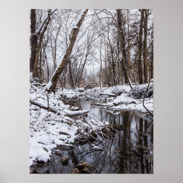 Affiche Neige du fleuve (Devant)