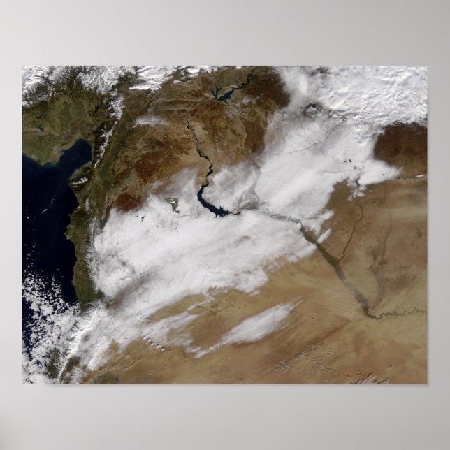 Affiche Neige en Syrie (Devant)