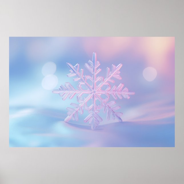 Affiche Neige Flake Nature Serene Tranquille Paix (Devant)