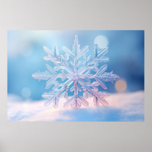 Affiche Neige Flake Nature Serene Tranquille Paix