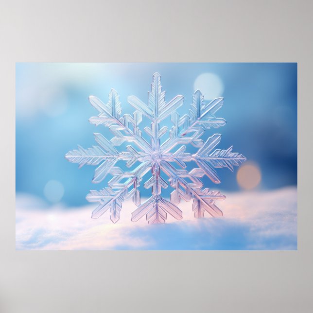 Affiche Neige Flake Nature Serene Tranquille Paix (Devant)