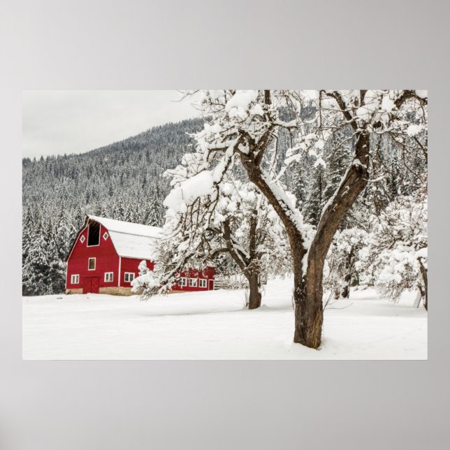 Affiche Neige fraîche sur grange rouge (Devant)