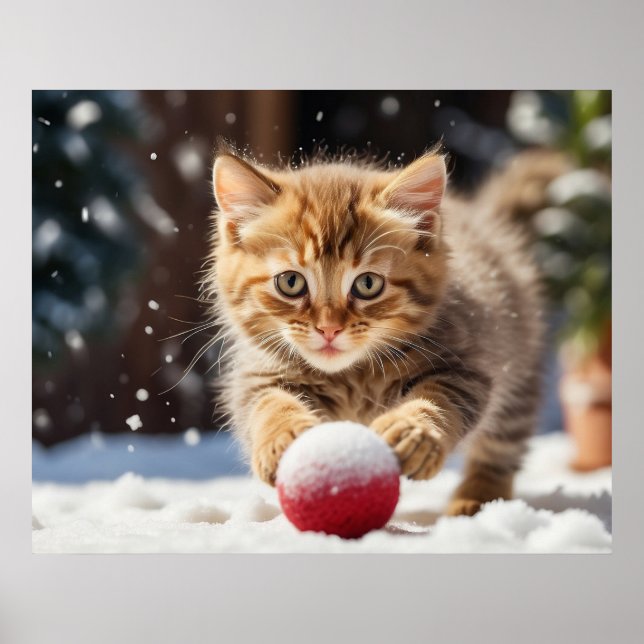 Affiche *~* Neige Jouant au Ballon Chaton 5:4  Chat Kitten (Devant)