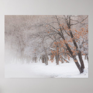 Affiche Neige Lac Kussharo