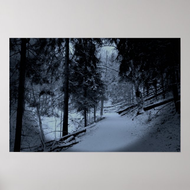 Affiche Neige sur le sentier de randonnée 3 (Devant)