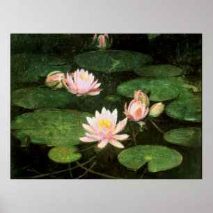 Affiche Nénuphar, peinture d'art par Abbott Thayer