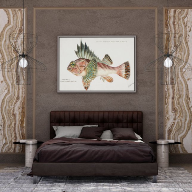 Affiche Neosebastes du Poisson Antique Scorpaenoides 1808 (Créateur téléchargé)