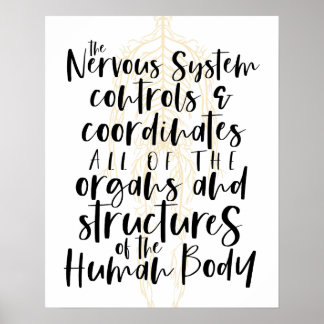 Affiche Nervous System Poster, Chiropractic Poster, Chiro