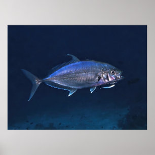 Affiche Nettoyage Jack