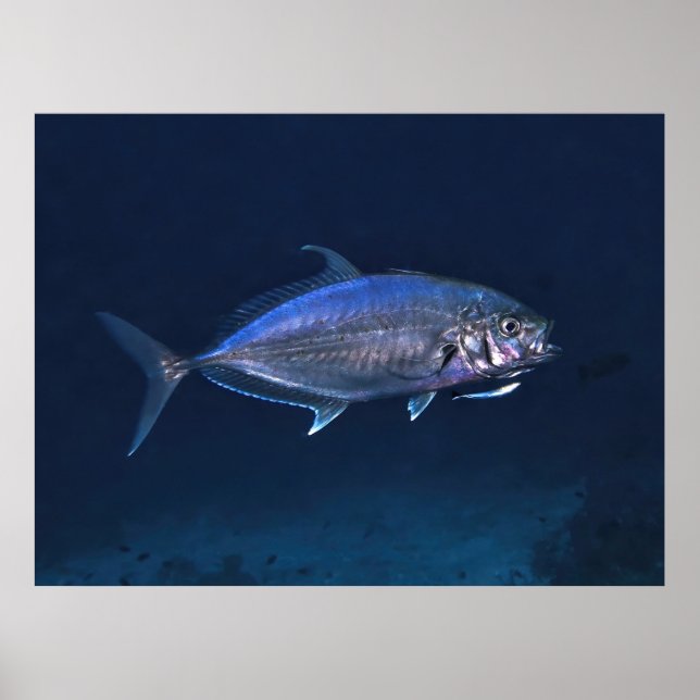 Affiche Nettoyage Jack (Devant)