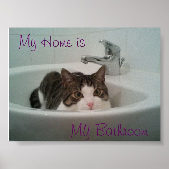 Affiche Nettoyer le chat (Devant)