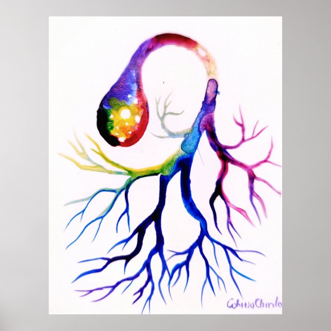 Affiche neurone unipolaire (Devant)