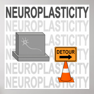 Affiche Neuroplasticité