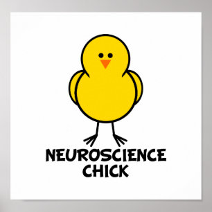 Affiche Neuroscience Chick