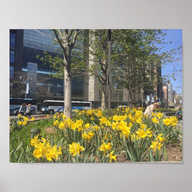 Affiche New York City Daffodiques Columbus Circle NYC Spri (Devant)