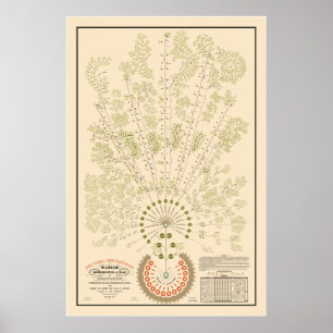 Affiche New York & Erie Railroad Org - Clair - Couleur