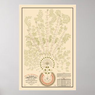 Affiche New York & Erie Railroad Org - Clair - Couleur
