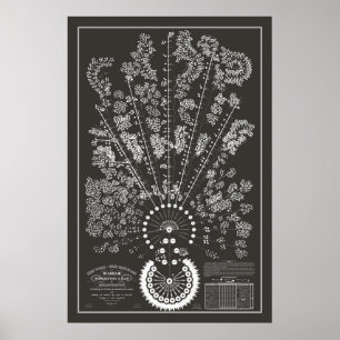 Affiche New York & Erie Railroad Org - Foncé - Contour