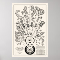 New York & Erie Railroad Org - Léger - Contour