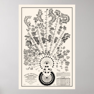 Affiche New York & Erie Railroad Org - Léger - Contour