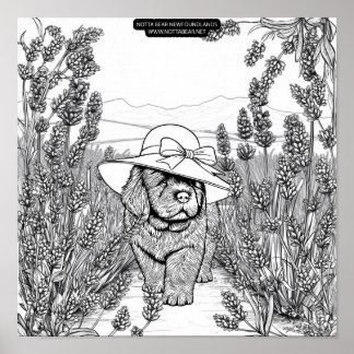 Affiche Newfoundland Puppy Dog in a Lavender Flower Field