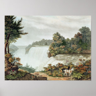 Affiche Niagara Falls, de l'île de Goat