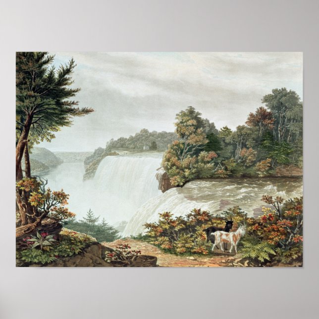 Affiche Niagara Falls, de l'île de Goat (Devant)