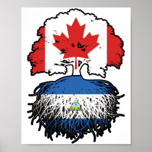 Affiche Nicaragua Origines de l'arbre canadien nicaraguaye